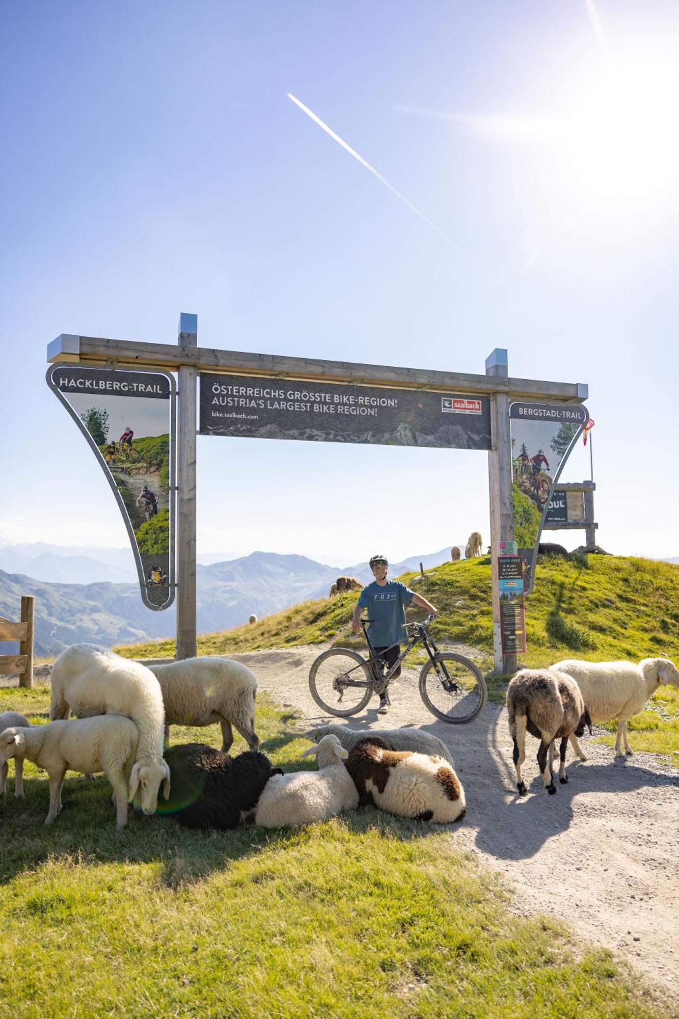 Landhaus Saalbach - Joker Card Included In Summer Exterior photo